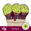 8713782538310SF9448385.jpg