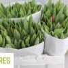 8713782545189SF9575616.jpg