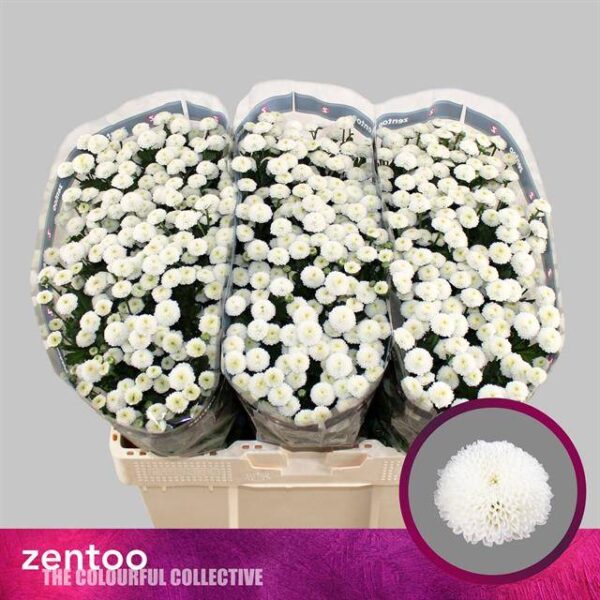 8713783478394SF9495863.jpg