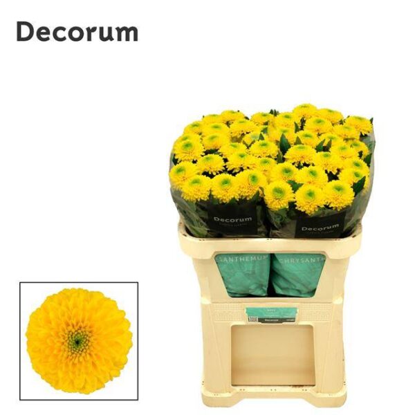 8714231154815SO5102392.jpg