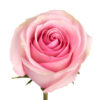 Rose-Lorraine-Single-2.jpg