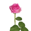 133653fa-444c-4507-b702-bc8f1c96c64b.png