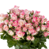 4K6A2777-1000×667.png