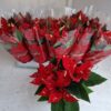 8713782573564231213X162705.jpg