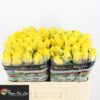 8713783852538QEAMTMI6NCRRO.jpg
