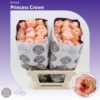 87196049532480000100007572.jpg