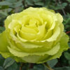 D09AD196D0B2D196-D182D180D0BED18FD0BDD0B4D0B0.jpg