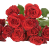 MIRABEL-edited.png