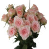 Mystery-Blossoms.jpg