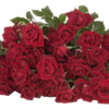 RUBICON-edited.png