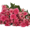 RUPSKI-edited.png