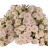 SAND-BLOSSOMS.jpg