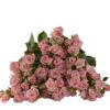 SMOOTH-BLOSSOMS.jpg