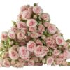 SWEET-BLOSSOMS.jpg