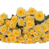YELLOW_BABE-edited.png