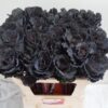 Zalm20-20brassica20black20leaf.jpg