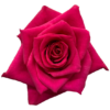 f14197_59357531fc6545f3bed898b117632009mv2.png
