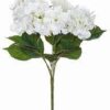 imagesqtbnANd9GcQ22wXydr8F84YOYIDHwvXkOhHkDaBVM75HKXz8o5MhvHlXtSSQOizROKLHbMpDmsTkdtEusqpCAU.jpg