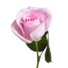 imagesqtbnANd9GcQWpwFwRgB5bBe_5tHOD77dxbqMPP_GJqijArvN-rIWvhrJn-9ms0yk2BCgqu0TeGnF3JEusqpCAU.jpg