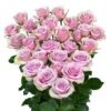 imagesqtbnANd9GcQx4OSQAdwlmd6CAX6CBzO94jVnS2Hmt0pj3ws.jpg