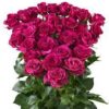 imagesqtbnANd9GcR1JPeeFTo-ApSWwbCAhKOi5ENn-zT-FGK6lYxZgOJuacq0rkFQeZFndFaQaStzp47l-48usqpCAU.jpg