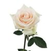 imagesqtbnANd9GcSPby-GTzcLQp9DCXYYMtI2nTtTXCxx9ugSTQs.jpg