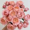 imagesqtbnANd9GcSySTSA_7Tps3jt0faPNB9EwWo7cm-xnAzkkQs.jpg