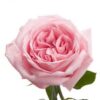 imagesqtbnANd9GcSyWMkSbk6n1WzOcf4UF1vtnbGfhgIpjqWC3As.jpg