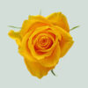 imagesqtbnANd9GcT1T34y1iWZNaH0Wpx3qD78mUFKYd5g_6z5mQs.jpg