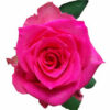 imagesqtbnANd9GcT5KZtB0zr0KFliYPtBNgxjF7wXXxjJMnXTbAs.jpg
