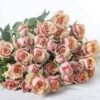 imagesqtbnANd9GcTBKotdZFqQDtRj-FmhakteIz81ijJIatrCMso4ZF5ELFq4T3btfFSezgjtr1jBhXFYiM8usqpCAU.jpg
