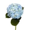imagesqtbnANd9GcTDjDcGeo6rdmalW3ZLiPVaGVQ8stSkia0H9kAI7OMoPPBWMVJ6jemJr57Yi-N9Pyxic-gusqpCAU.jpg