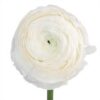 imagesqtbnANd9GcTJ2AXVmlmrxlomPPUWGPD6qy330v2Zoif6c5A2bPlLk1ZKH6wSHFS_fzz9Zmn3iSRrUasusqpCAU.jpg