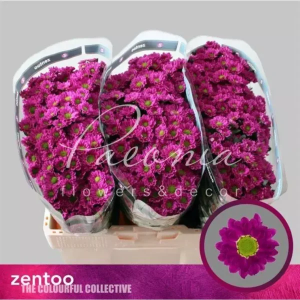 main-800×800.webp