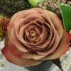 rose-cappucino.jpg