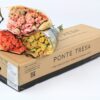Rosa20Ec20Spray20Mix20in20Box20Ponte20Tresa.JPG