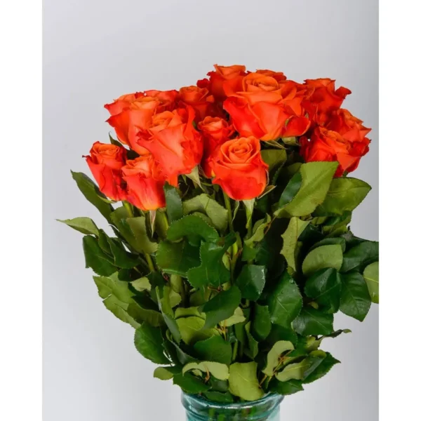 dsc3573-2-1100×1100.webp