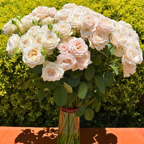 Rose-Wangari-Maathai-in-a-vase.jpg