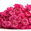 JULIETA-CERISE-2-spray.jpg
