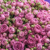 a5b903390ef89bc5e8331ffb25017809-550×550-1.jpg