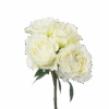 290-White-Balance-1.png