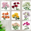 SUMMER_FLOWERS_SPECIALS_91_1000x1000