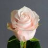 images-2