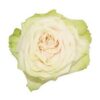 images-7