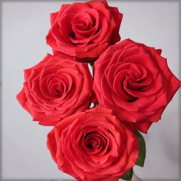 686a6ad191d8c.jpg