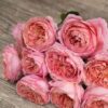 Scented-ROSE-GARDEN-ROMANTIC-ANTIKE-50cm.jpg