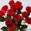 326e9759.jpg