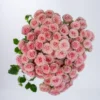 Miou_Miou-3.webp