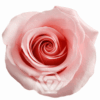 be-sweet-logo-1-300×300.png