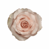 06-QUICKSAND_3.png
